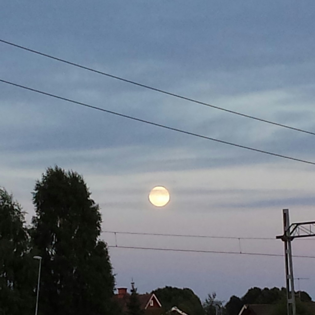 En vacker måne förgyllde min och Tifas kvällspromenad