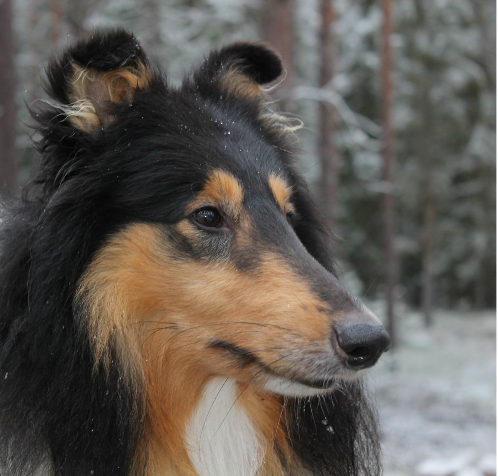 Min älsklingspojke!